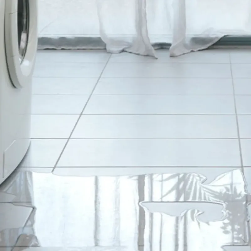 Appliance Leak Cleanup in Abram, TX