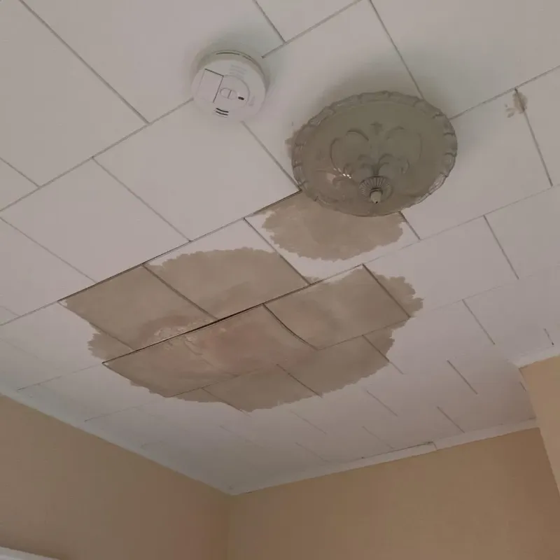 Ceiling Water Damage Repair in Abram, TX