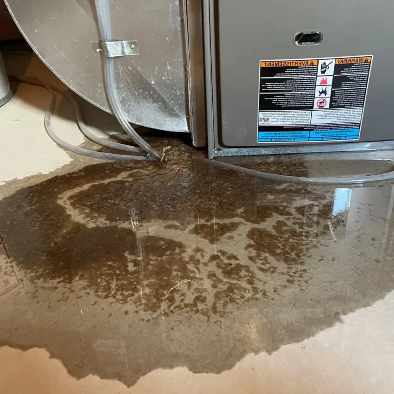 Pipe Burst and Leak Restoration in Abram, TX