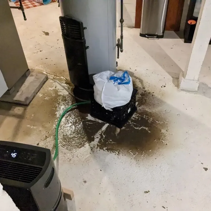 Sewage Backup Cleanup Service in Abram, TX